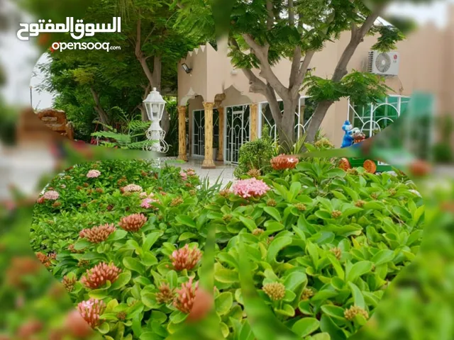 مطلوب موظفه وافده لقاعه وشاليهات واستراحات