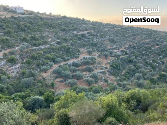 Residential Land for Sale in Ramallah and Al-Bireh Atara