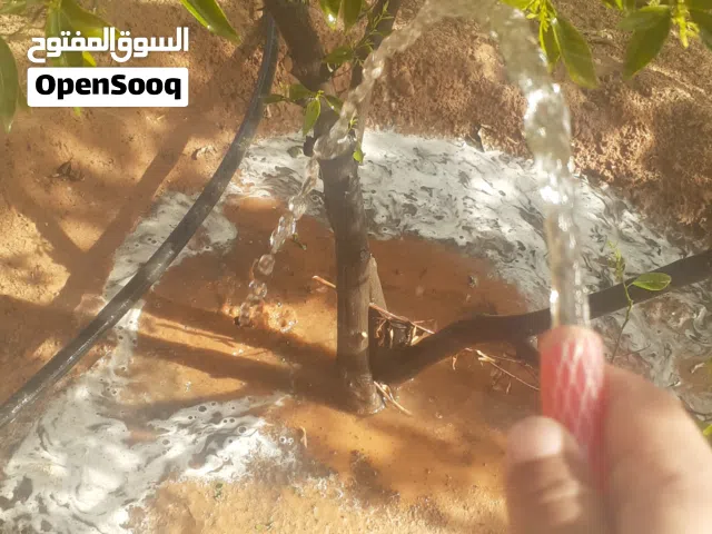 منزل للبيع مسقوف ماشاءالله واسع