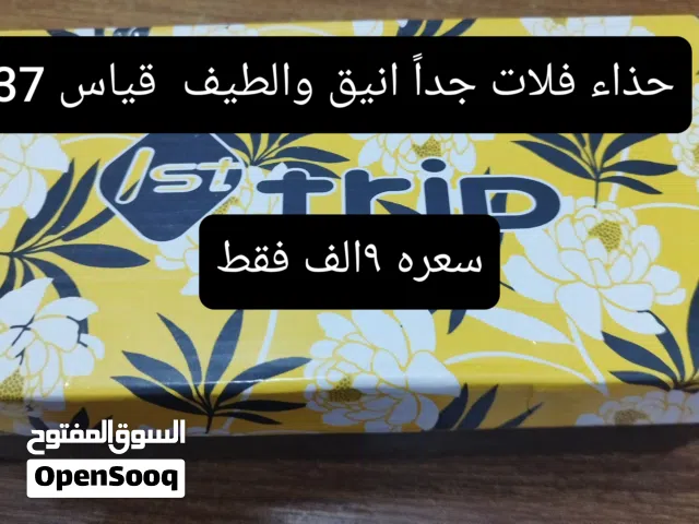 2026 تاريخ النشر 6/27