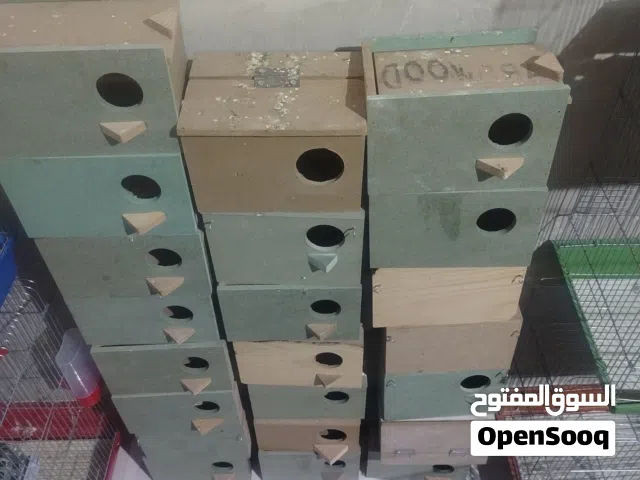 كواخ روز وحب سحب