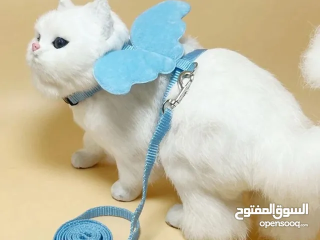 هآرنس قطط ، متوفر عدة موديلات واحجام