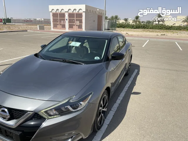 Used Nissan Maxima in Al Ain