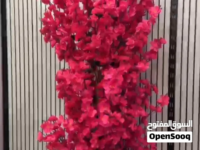 اشجار شبوي
