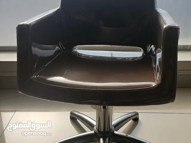 Salon Chairs