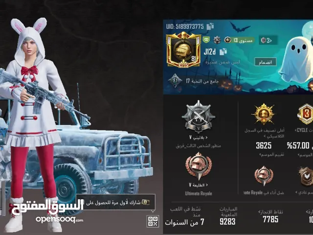 Pubg Accounts and Characters for Sale in Al Anbar
