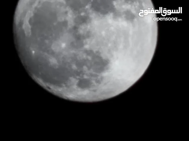 أحلام حماد
