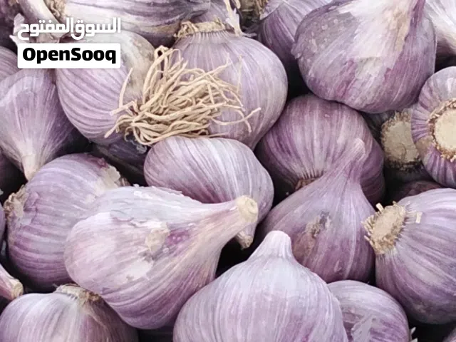 ثوم عمانى للبيع