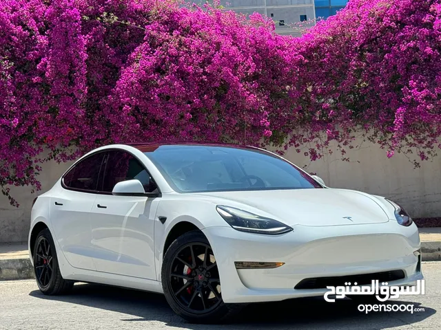 Tesla Model 3 Standerd Plus 2021 تيسلا فحص كامل بسعر مغري جدددا