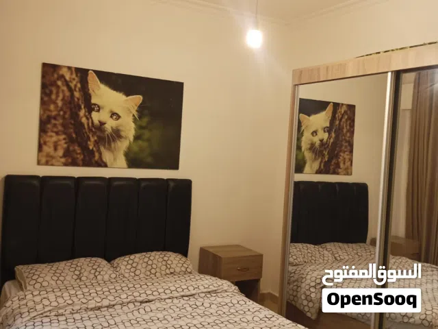 40 m2 Studio Apartments for Rent in Amman Al Gardens