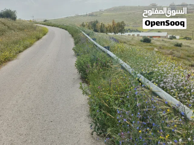 Mixed Use Land for Sale in Mafraq Rhab