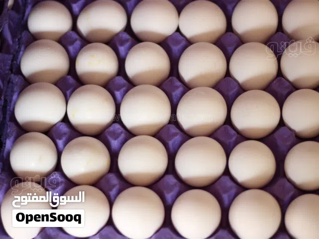 طبق بيض بلدي