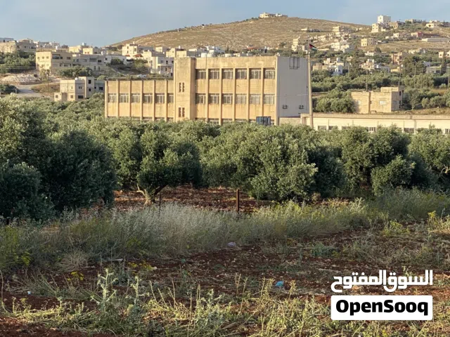 قطعتين ارض للبيع - كفر جايز / الميدان