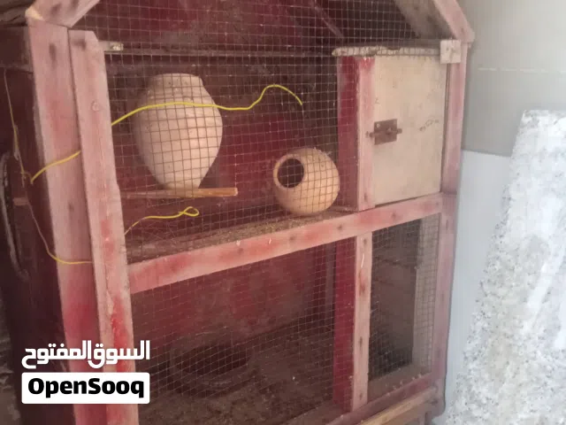 قفص للبيع نضيف تبارك الرحمان