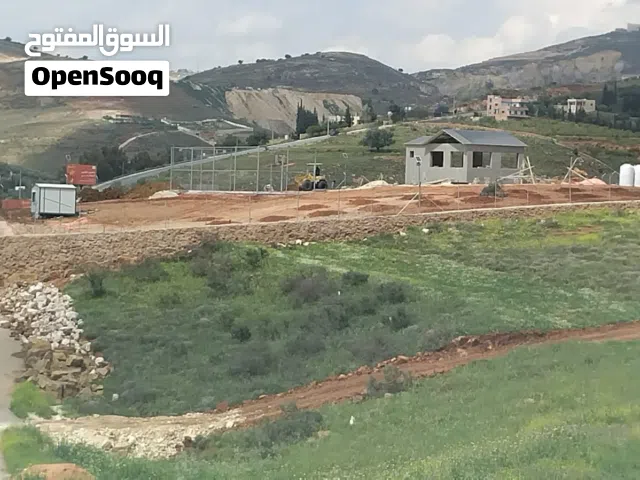 الفحيص القعرتيين