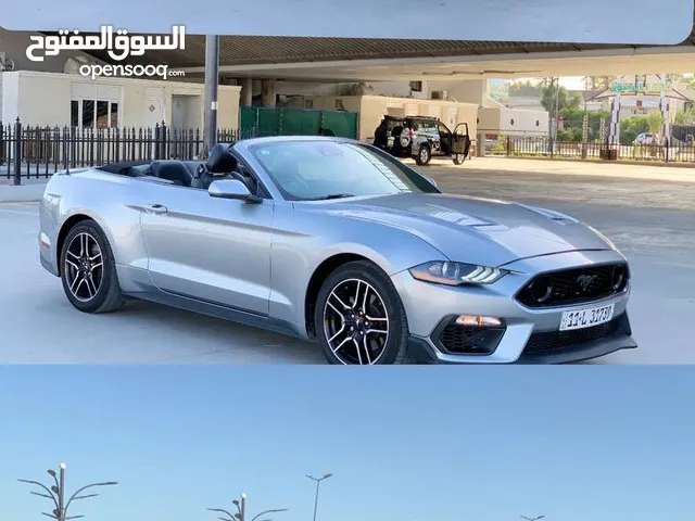 New Ford Mustang in Baghdad
