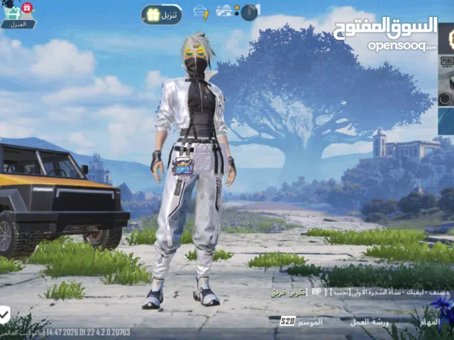 Pubg Accounts and Characters for Sale in Luxor