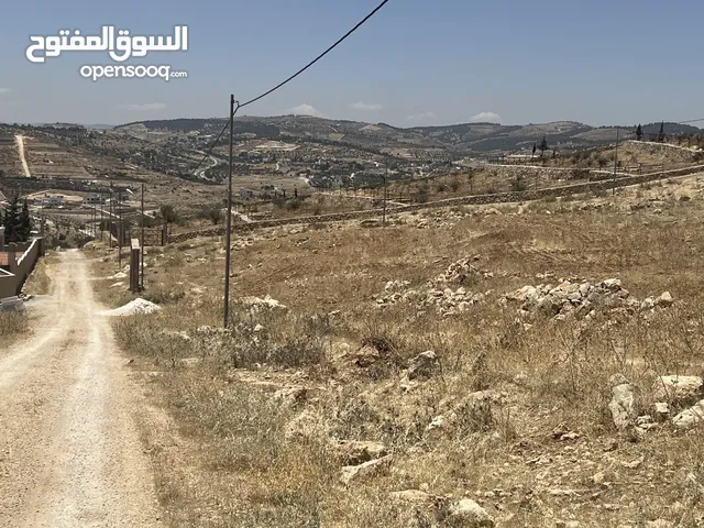 Farm Land for Sale in Mafraq Nadira