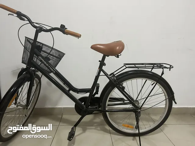 Chic & Comfortable Ladies Cycle - Made for You Basket + Back Seat + Bell Adjustable Seat