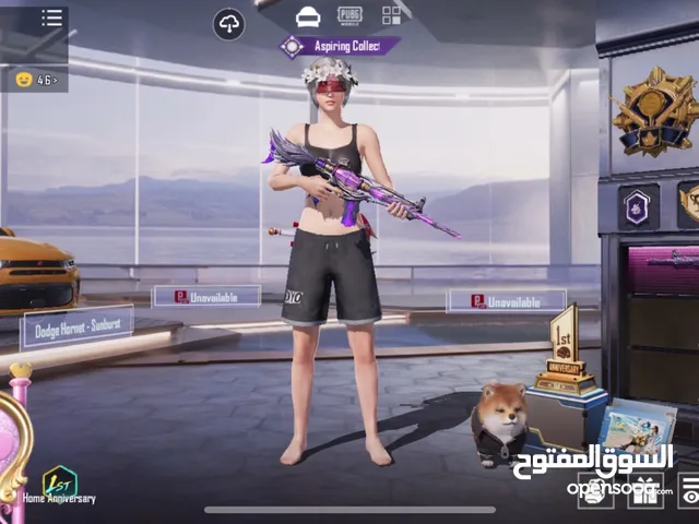 Pubg Accounts and Characters for Sale in Tulkarm