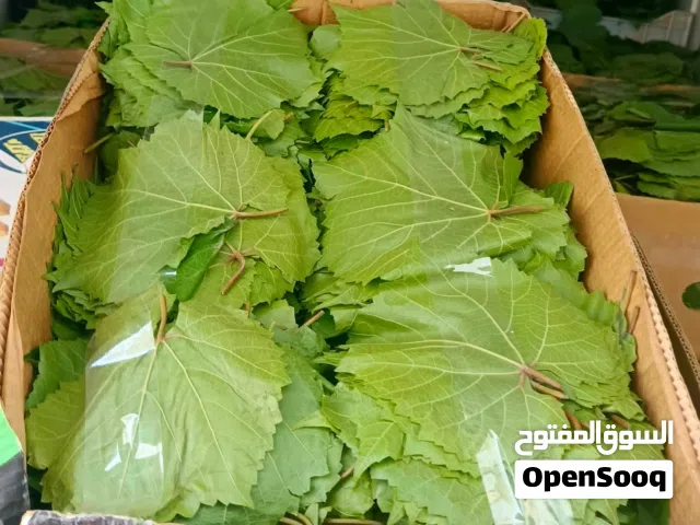 دوالي  وامريكي نخب اول يوجد. خدمة توصيل وأقل سعر في الأردن
