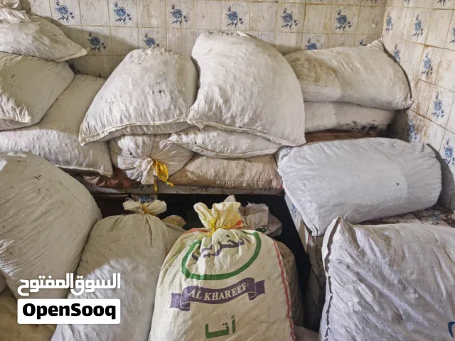نفيعة للبيع، نغال قشوش خصاب