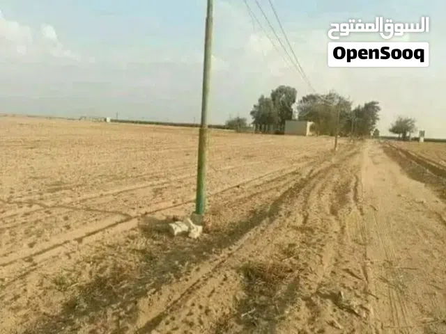 Farm Land for Sale in Fayoum Other