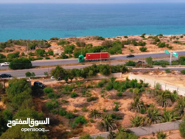 ارض 2000 متر على الساحلي مطله على البحر