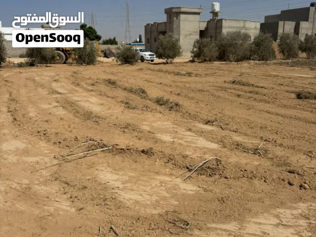 Residential Land for Sale in Tobruk Other