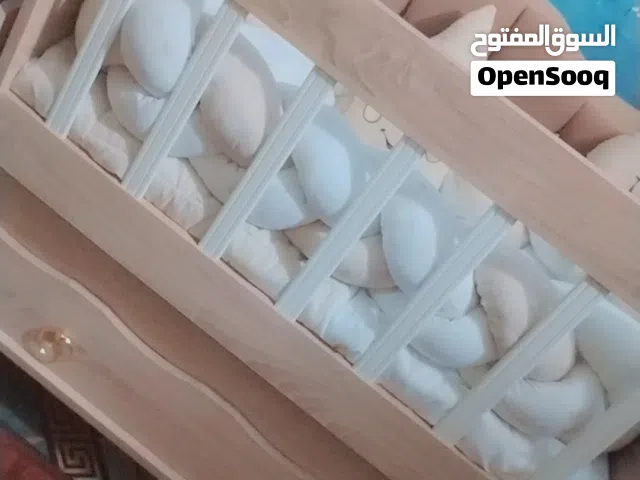 كاروك مال أطفال تركي يخبل جديد ممستعمل ابني منام بي