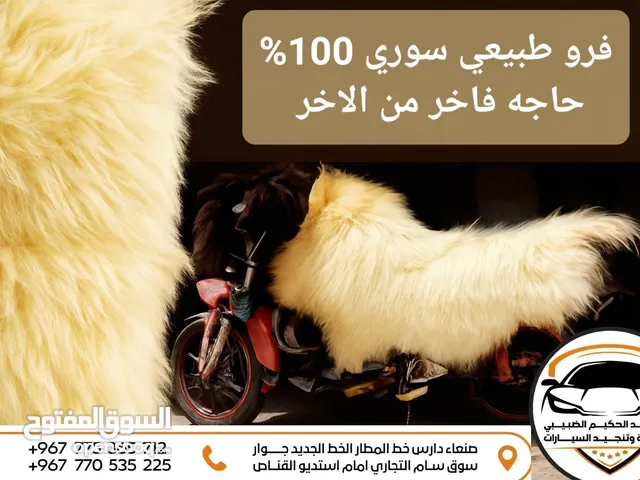 خليك ذكي واطلب قبل لاتخلص الكميه فروات جلد طبيعي رقم واحد شعر طويل واحجام مختلفه