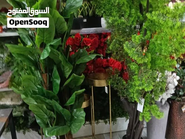 اشجار ونباتات صناعيه للتزيين كل اشجار كل ما تحتاجه