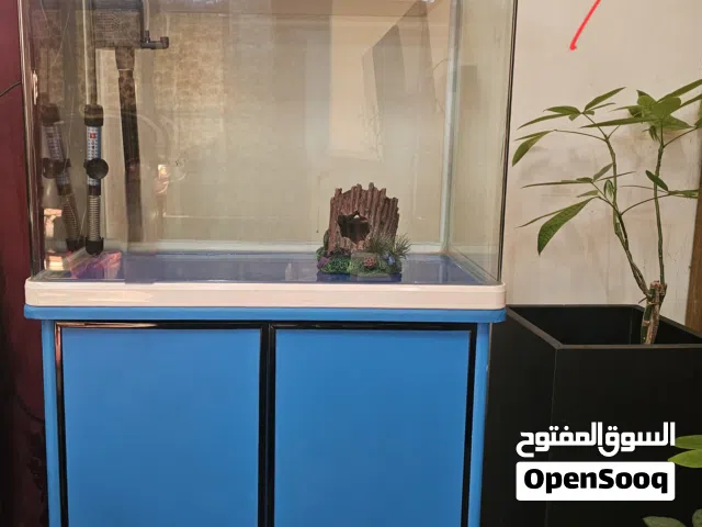 حوض سمك مع إضاءة