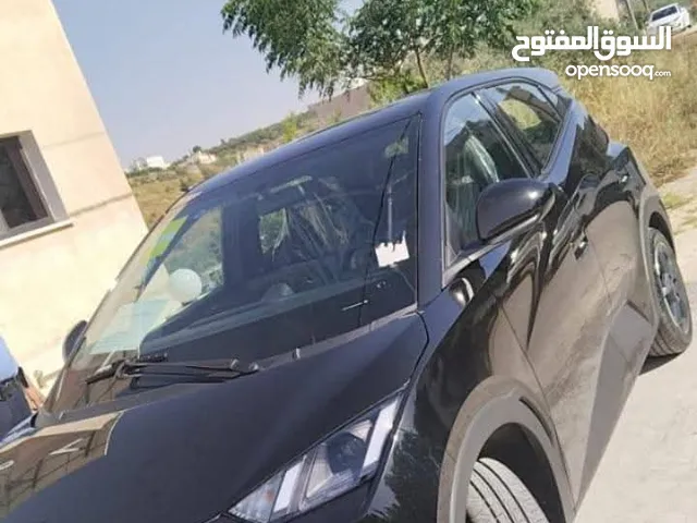 BYD SEAGULL 305 km 2024