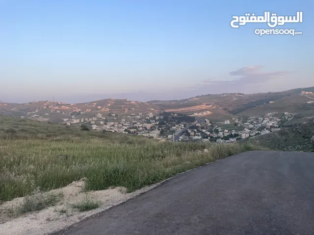 Residential Land for Sale in Zarqa Birayn