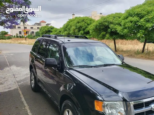 Used Ford Escape in Amman