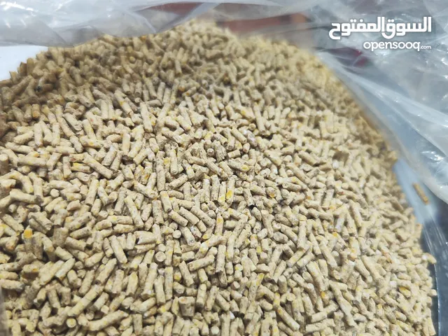 علف مركز بالتمر
