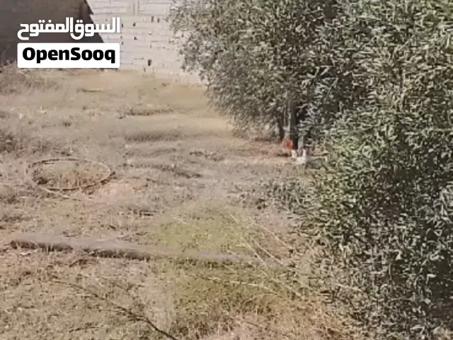 ارض للبيع بسعر كزيووني تاجوراء بالقرب من مثلت الكهرباء مساحتها 315متر