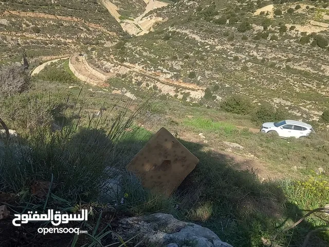 Mixed Use Land for Sale in Hebron Tapuah