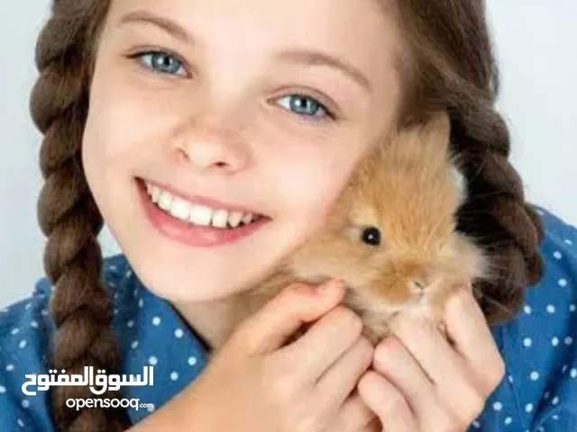 ارانب زينه في حلوان كلمني واتس عشان مش بشوف اشعار البرنامج ده