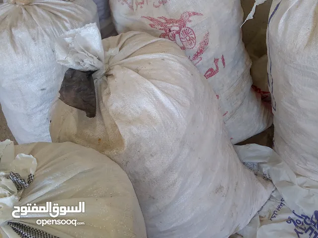 خبز ناشف للبيع