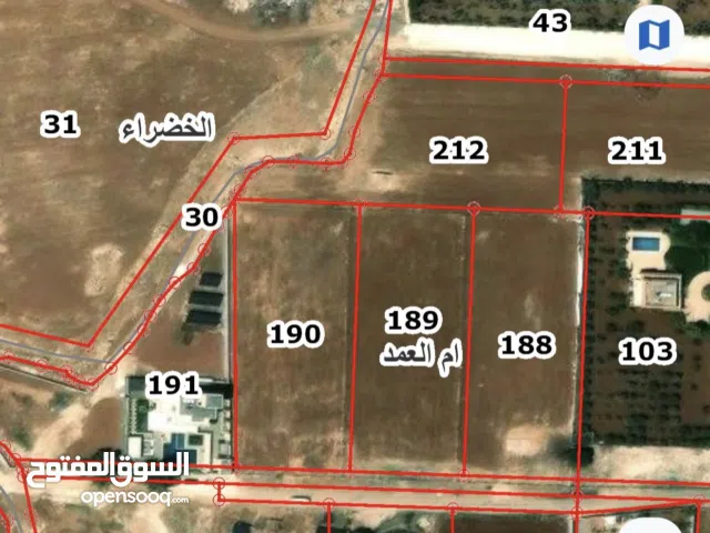 Farm Land for Sale in Amman Umm Al-Amad