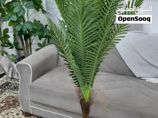 شبةجدد. للببغ. الزوز بي 400