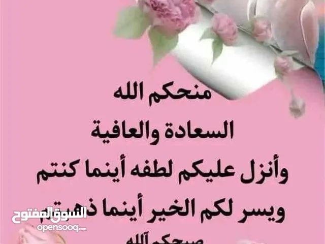 مطلوب كاميرا نيكون z30