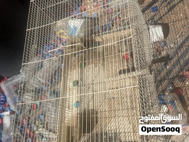للبيع قفص مستعمل