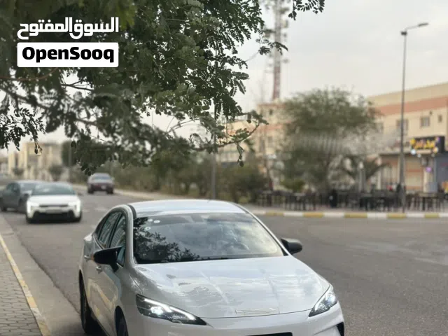 2025 بي واي دي سيل
