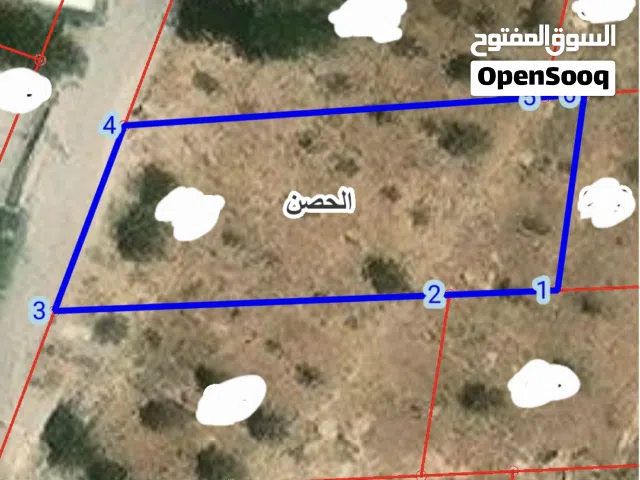 راكسه وام الهوى مساحة القطعه 939 م2 واجهة القطعه على الشارع  20 القطعه على شارع 12 سعر 55 الف. بالعا