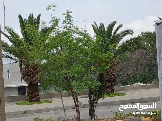 مجمع تجاري للبيع في ماحص