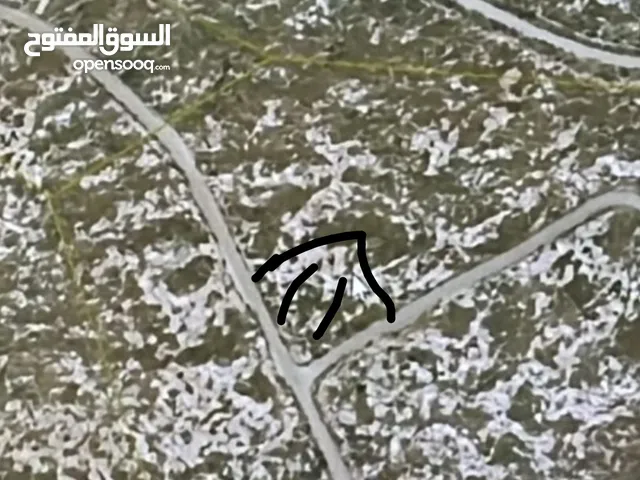 Residential Land for Sale in Nablus Taluza