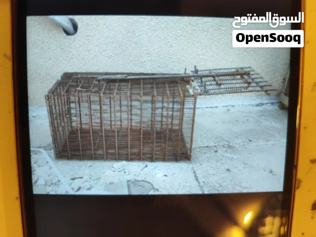 مصيدت قطط وشغالة